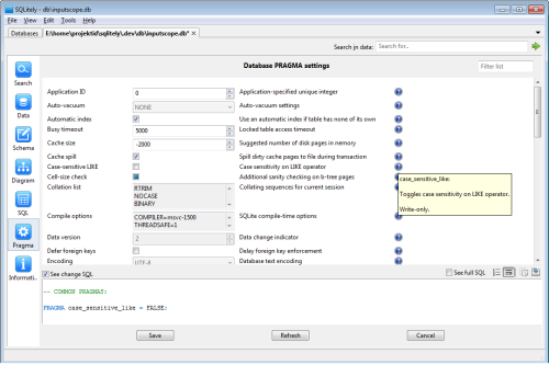 Database PRAGMA directives